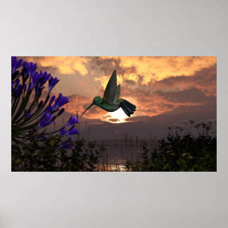 36 "x40" papier poster w' "Vlucht van de kolibrie