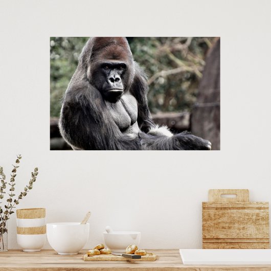 36 X 24 GORILLA PREMIUM CANVAS GLOSS POSTER (Keuken)