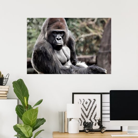 36 X 24 GORILLA PREMIUM CANVAS GLOSS POSTER (Thuiskantoor)