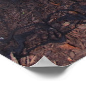 36 x 24-inch Chrissy Kittens van het logboek Poster (Hoek)