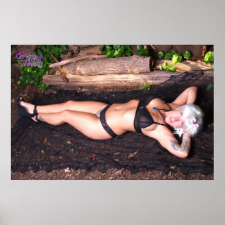 36 x 24-inch Chrissy Kittens van het logboek Poster