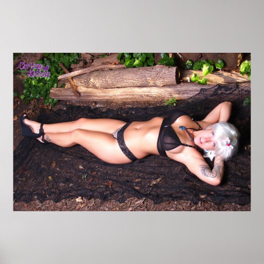 36 x 24-inch Chrissy Kittens van het logboek Poster (Voorkant)