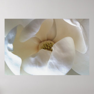 36 x 24-inch magnolia poster, poster met waardeste