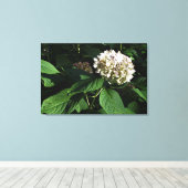 36 x 24-inch paniekhortensia canvas afdruk (Insitu (Houten vloer))