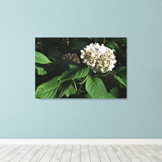 36 x 24-inch paniekhortensia canvas afdruk (Insitu (Houten vloer))