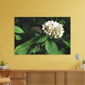 36 x 24-inch paniekhortensia canvas afdruk (Insitu (Woonkamer))