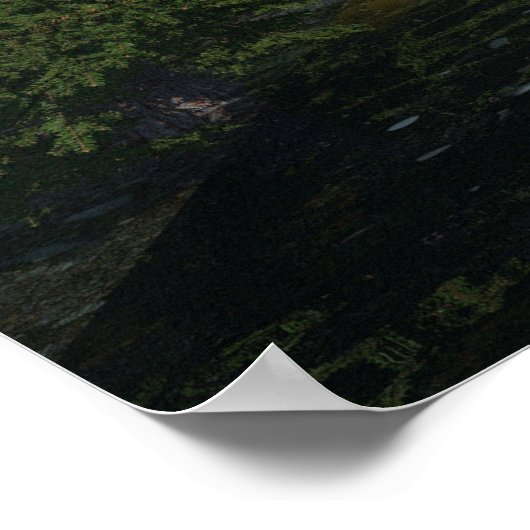 36 x 24-inch papieren poster met "Boreal Stream"-a (Hoek)
