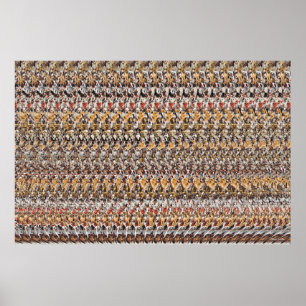 36 x 24-inch "Puppies spelen" 3D Magic Eye® Poster
