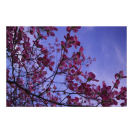 36 x 24-inch roze duoghout foto afdruk