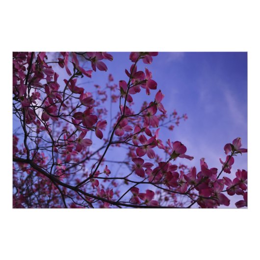 36 x 24-inch roze duoghout foto afdruk (Voorkant)