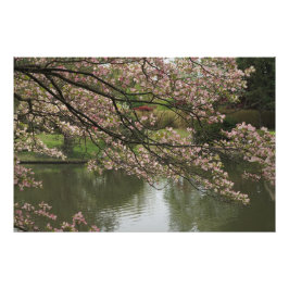 36 x 24-inch roze duoghout foto afdruk