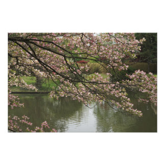 36 x 24-inch roze duoghout foto afdruk