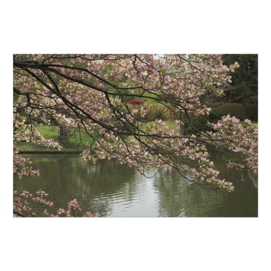 36 x 24-inch roze duoghout foto afdruk (Voorkant)