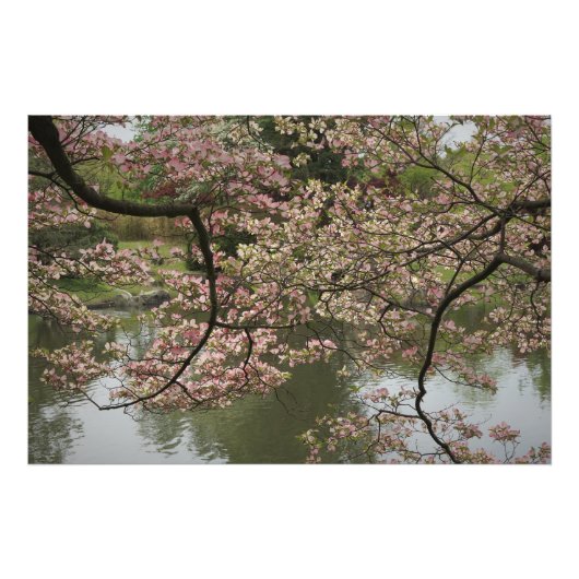 36 x 24-inch roze duoghout foto afdruk (Voorkant)