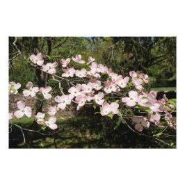 36 x 24-inch roze duoghout foto afdruk