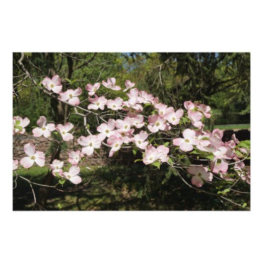 36 x 24-inch roze duoghout foto afdruk (Voorkant)