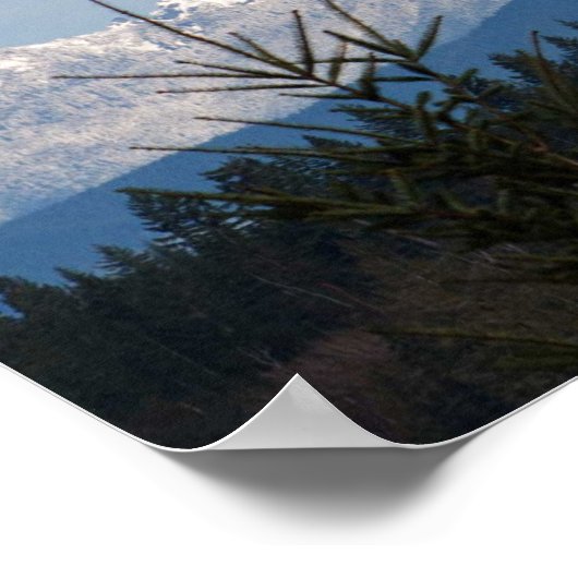 36X12 Olympisch gebergte Poster (Hoek)