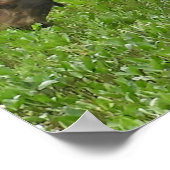 36x12 Poster papier (Matte) met een vloeiend gaas (Hoek)