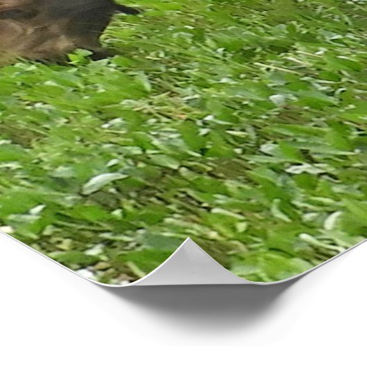 36x12 Poster papier (Matte) met een vloeiend gaas (Hoek)