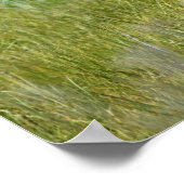 36x12 Poster papier (steen) van grizzly beer (Hoek)