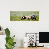 36x12 Poster papier (steen) van grizzly beer (Thuiskantoor)