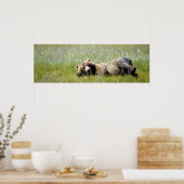 36x12 Poster papier (steen) van grizzly beer (Keuken)