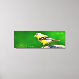 36x12x1.5 Wrapped Canvas Foto Yellow Finch Afdruk