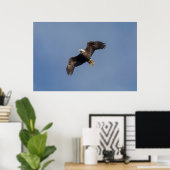 36x24 Bald Eagle in Flight Poster (Thuiskantoor)