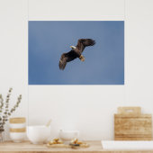 36x24 Bald Eagle in Flight Poster (Keuken)