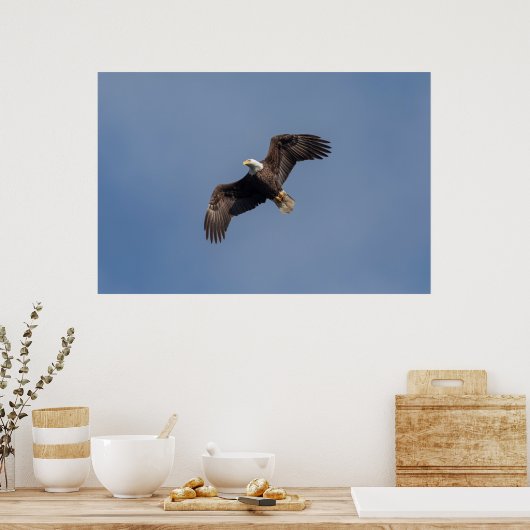 36x24 Bald Eagle in Flight Poster (Keuken)