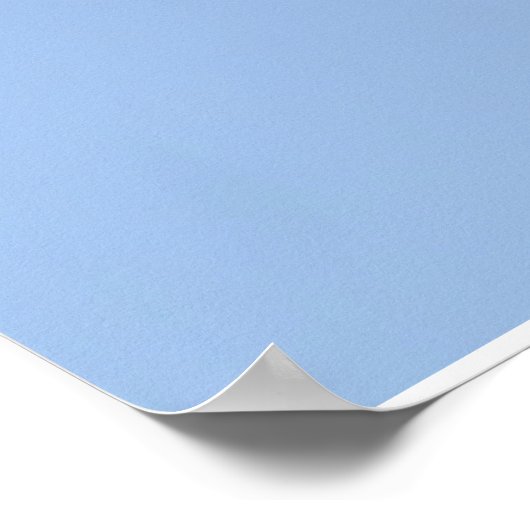 36x24 Bald Eagle tijdens de vlucht Poster (Hoek)