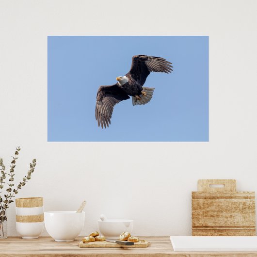 36x24 Bald Eagle tijdens de vlucht Poster (Keuken)