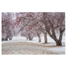 36x24 Metal Wall Art