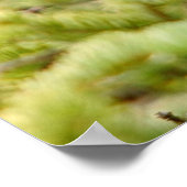 36x24 Poster papier (Matte) van porcupine (Hoek)