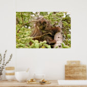 36x24 Poster papier (Matte) van porcupine (Keuken)