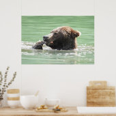 36x24 Poster papier (steen) van grizzly beer (Keuken)