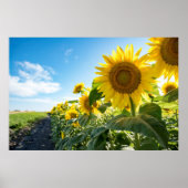 36x24 Poster voor wandelen (Voorkant)