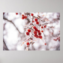 36x24 Poster voor wandelen