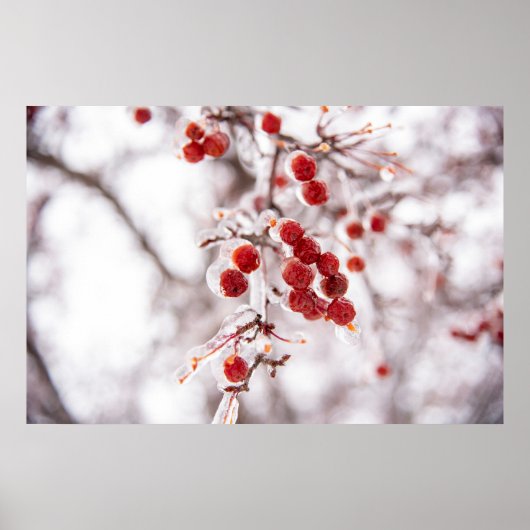 36x24 Poster voor wandelen (Voorkant)