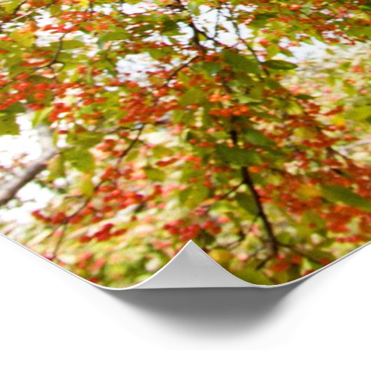 36x24 Poster voor wandelen (Hoek)