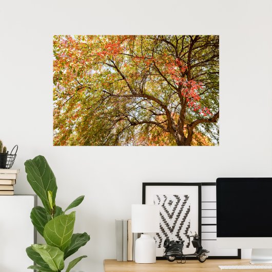 36x24 Poster voor wandelen (Thuiskantoor)