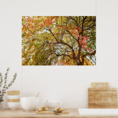 36x24 Poster voor wandelen (Keuken)