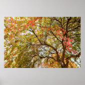 36x24 Poster voor wandelen (Voorkant)