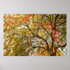 36x24 Poster voor wandelen