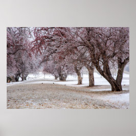 36x24 Poster voor wandelen