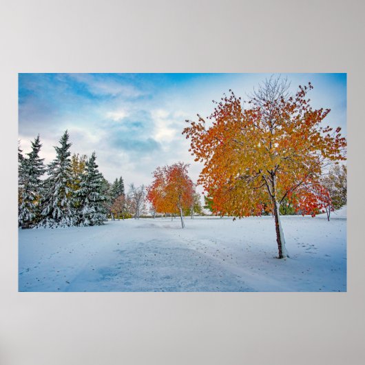36x24 Poster voor wandelen (Voorkant)