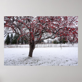 36x24 Poster voor wandelen