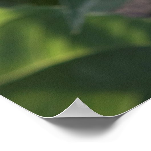 36x24 Poster voor wandelen (Hoek)