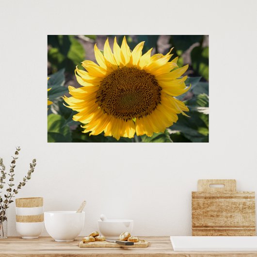 36x24 Poster voor wandelen (Keuken)