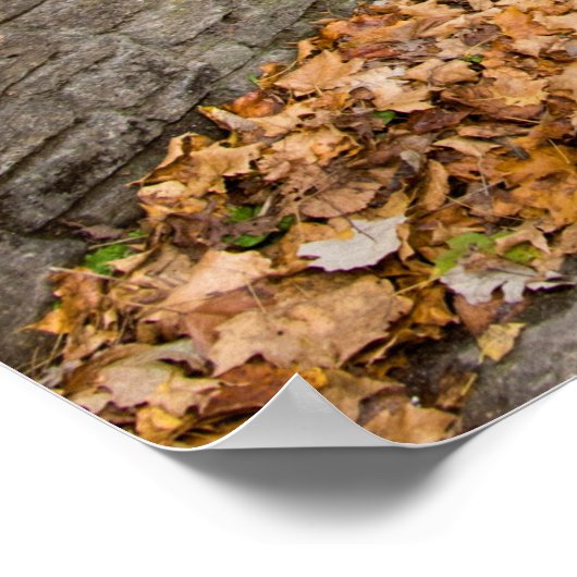 36x24 Poster voor wandelen (Hoek)